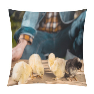 Personality  Cropped Image Of Male Farmer Holding Wooden Board With Adorable Baby Chicks Outdoors  Pillow Covers
