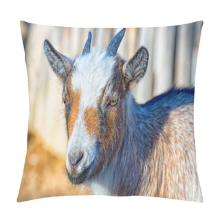 Personality  The Small Goat Pillow Covers