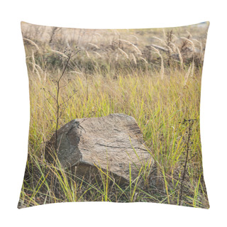 Personality  Stone On Ground Near Green Grass In Field  Pillow Covers
