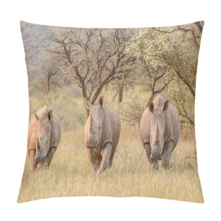 Personality  Three White Rhinos In Southern African Savanna Pillow Covers