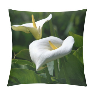 Personality  Close Up Of Beautiful Garden Flowers. Pillow Covers