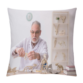 Personality  Old Male Paleontologist Examining Ancient Animals At Lab Pillow Covers