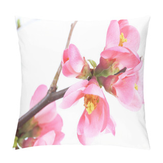 Personality  Chaenomeles Japonica Pillow Covers