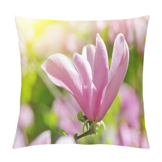 Personality  Spring Magnolia Flowers Pillow Covers