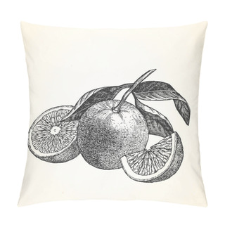 Personality  Hand-drawn Illustration Of Mandarins Pillow Covers