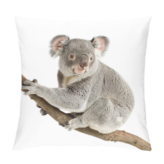 Personality  Koala Pillow Covers