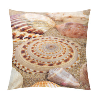 Personality  Seashells On The Sand Of A Beach Pillow Covers