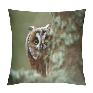 Personality  Hidden Portrait Long-eared Owl Pillow Covers