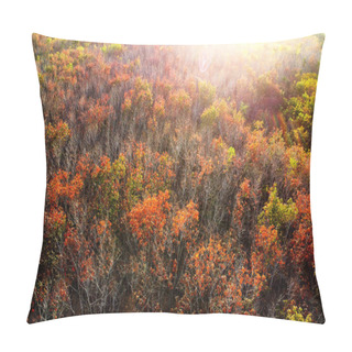 Personality  An Aerial View Of A Rubber Plantation In Thailand Defoliating In Summer. Autumn Forest In The Morning Pillow Covers