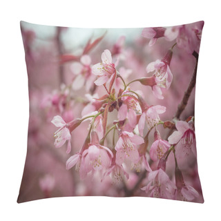 Personality  Pastel Tones Spring Cherry Blossoms Sky With Filter Effect Retro Vintage Style Pillow Covers