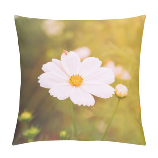 Personality  Cosmos Flower And Beetle Pillow Covers