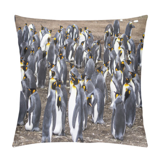 Personality  Colony Of King Penguins Pillow Covers