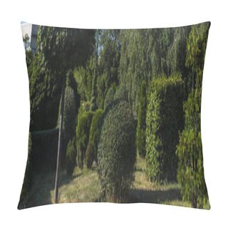 Personality  Trees And Bushes On Green Grass In Park, Panoramic Shot Pillow Covers