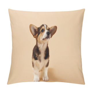 Personality  Fluffy Welsh Corgi Puppy On Beige Background Pillow Covers