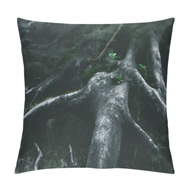 Personality  Dramatic Close-up Shot Of Tree Roots In Forest Pillow Covers