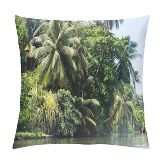 Personality  Tropical Trees Over River Pillow Covers