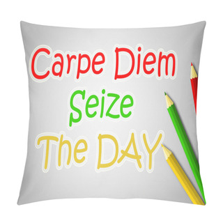 Personality  Carpe Diem Concept Pillow Covers