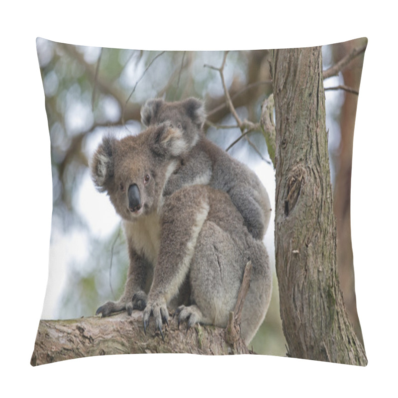 Personality  Baby Koala On Mother's Back Pillow Covers