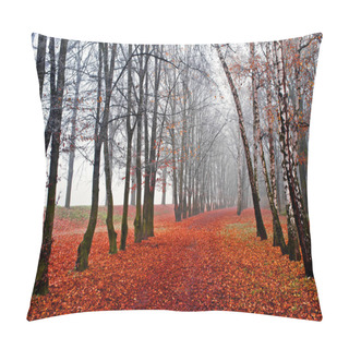 Personality  November Fog In Park Pillow Covers
