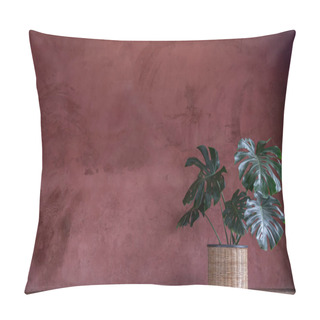 Personality  Monstera Trees Planted In Rattan Pot In Cozy Room The Concept Of Minimalism. Hipster Style Room Interior. Empty Red Wall And Copy Space. No Focus, Specifically. Pillow Covers