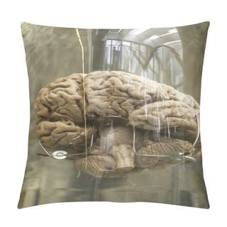 Personality  Human Brain In Boat Pillow Covers