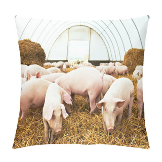 Personality  Herd Of Young Piglet At Pig Breeding Farm Pillow Covers