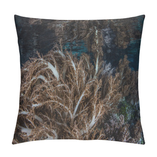 Personality  Soft Corals In Shallows Of Raja Ampat Pillow Covers
