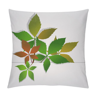 Personality  Wild Grape,  Vector Illustration   Pillow Covers