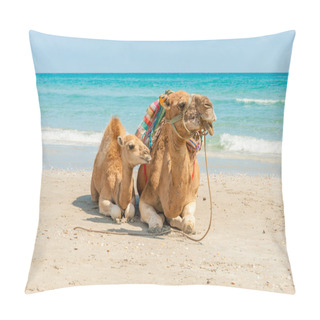 Personality  Two Camels Sitting On The Beach Pillow Covers