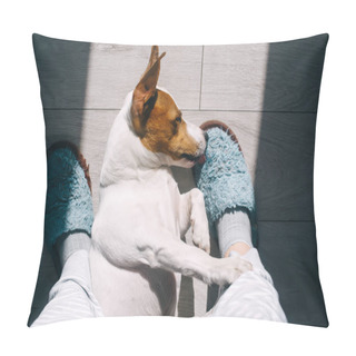 Personality  Woman Wearing Cozy Slippers  And Her Little Dog Pet Relaxing At Home. Jack Russel Terrier. Morning Concept. Top View. Soft, Comfy Lifestyle. Pillow Covers