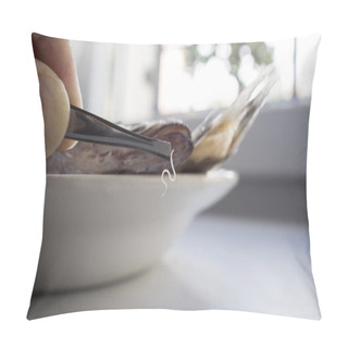 Personality  Living Anisakis Worm Just Found On Raw Fish. Food Intake Control Pillow Covers