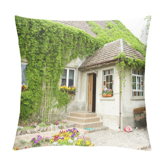 Personality  House Overgrown With Vines Of Flowers In Front Pillow Covers