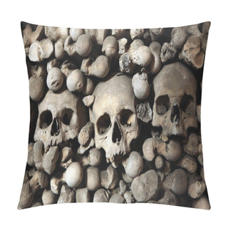 Personality  Human Bones And Skulls Pillow Covers