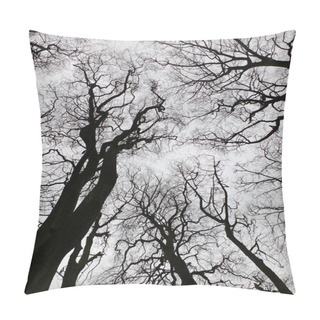 Personality  Twisting Winter Trees In Forest Canopy With Bare Branches Pillow Covers