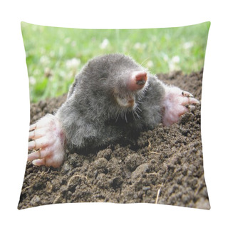 Personality  Laughing Mole Pillow Covers