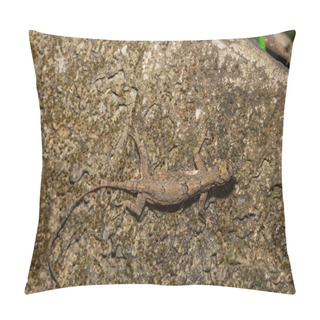 Personality  Spotted Flying Dragon Pillow Covers