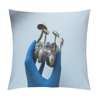 Personality  The Effect Of Magic Mushrooms On The Human Brain And Mental Health Pillow Covers