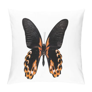 Personality  Big Butterfly With Yellow Wings, Isolate On White Background, Papilio Rumanzovia Pillow Covers