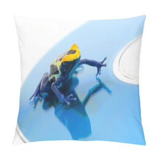 Personality  Poison Dart Frog On A Cd Pillow Covers