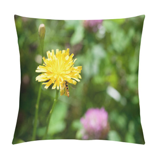 Personality  Flower Sonchus And Hoverfly Pillow Covers