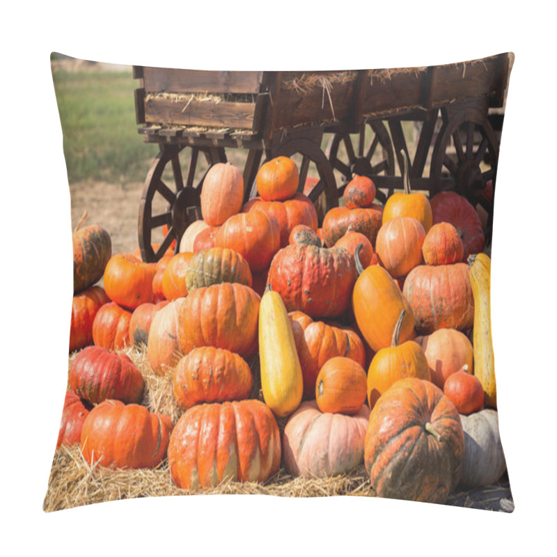 Personality  Big Pile Of Pumpkins On Hay Pillow Covers