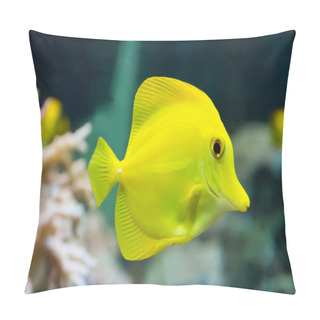 Personality  Zebrasoma Yellow Tang Fish Pillow Covers
