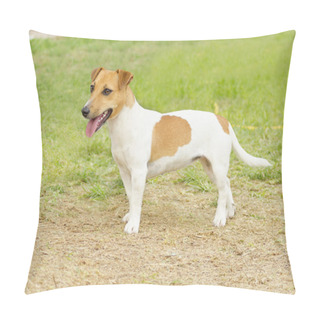 Personality  Jack Russell Terrier Pillow Covers