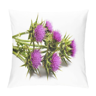 Personality  Silybum Marianum (Milk Thistle) Isolated Pillow Covers
