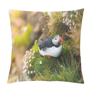 Personality  Puffin On The Rocks At Latrabjarg Iceland. Pillow Covers