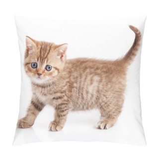 Personality  Kitten On A White Background Pillow Covers