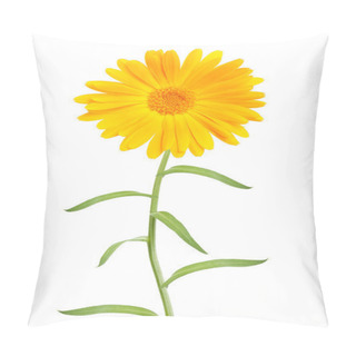 Personality  Marigold Pillow Covers