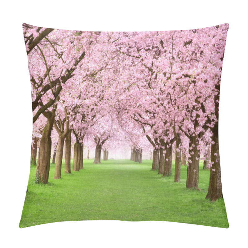 Personality  Gourgeous Cherry Trees In Full Blossom Pillow Covers