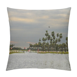 Personality  Palms Landscape In La Estrella Marsh Variety Of Bird Species,  Formosa Province, Argentina. Pillow Covers