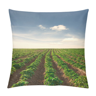 Personality  Potato Field On A Sunset Under Blue Sky Pillow Covers